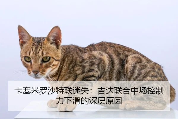 ka-sai-mi-luo-sha-te-lian-mi-shi-ji-da-lian-he-zhong-chang-kong-zhi-li-xia-hua-de-shen-ceng-yuan-yin-2-909.jpg